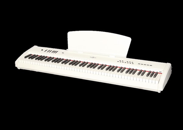  پیانو دیجیتال P10 برگمولر -قابل حمل