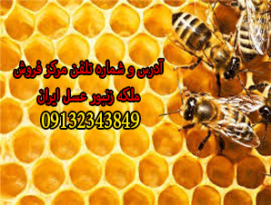 آدرس و شماره تلفن مرکز فروش ملکه زنبور عسل ایران