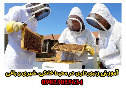 آموزش زنبورداری در محیط خانگی، شهری و باغی