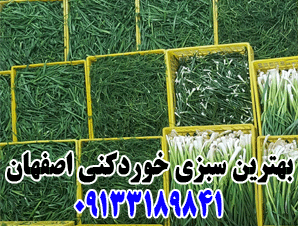 بهترین سبزی خردکنی در اصفهان