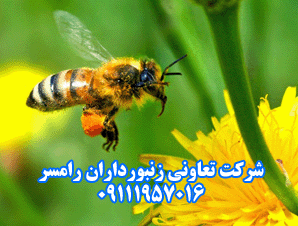 شرکت تعاونی زنبورداران رامسر